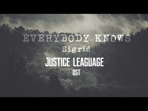 Everybody Knows - Sigrid [Lyrics+Vietsub] (Justice Leaguage OST)