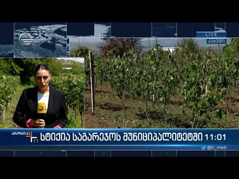 სტიქია საგარეჯოს მუნიციპალიტეტში