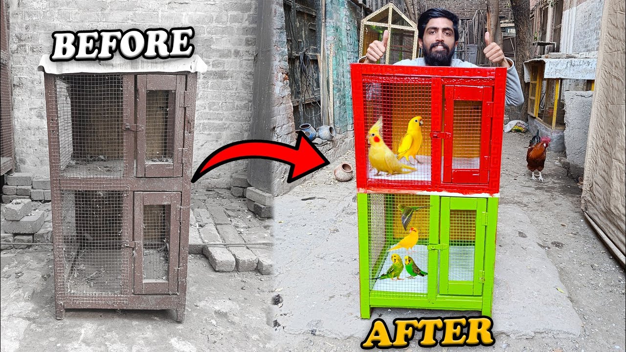 I Spent 60 Days To Renovate My Old Birds Cage