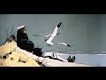 Corto maltese  les celtiques film complet en francais