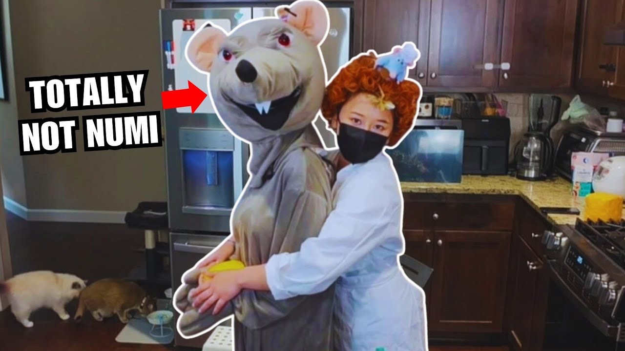Bao Gets Jumpscared Seeing Numi as a Rat for the First Time
