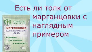 443. Есть ли польза от марганцовки с наглядным примером