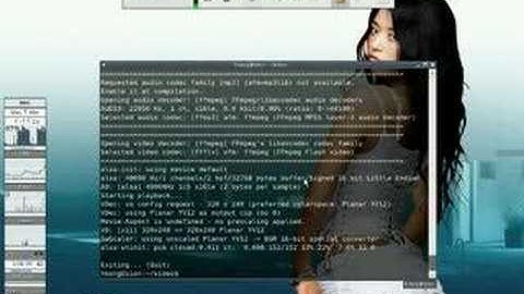 xvidcap screen capture on mplayer