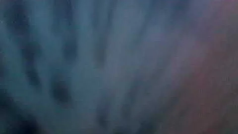 Song whatever