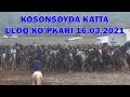 KOSONSOYDA KATTA ULOQ-KO'PKARI 16.03.2021