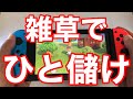 ★【あつ森】雑草でひと儲け