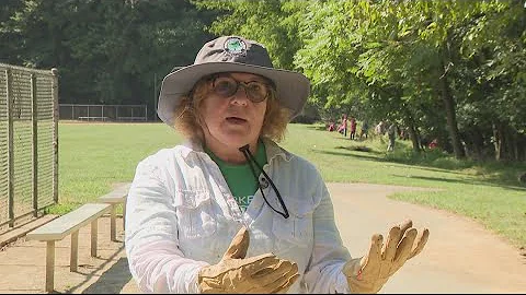 Invasive plants threating DC parks | ECO9