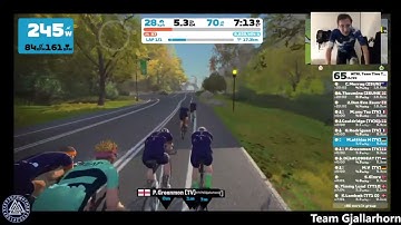 WTRL TTT #202 Knickerbocker reverse