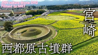 西都原古墳群　宮崎県西都市【JNN sakuraドローンDIG】