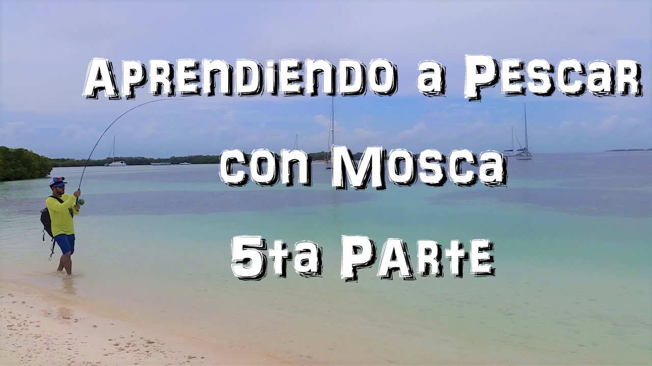 3 Tcnicas Para Pescar Truchas Con Mosca Youtube 3 Tcnicas Para Pescar Truchas Con Mosca Youtube