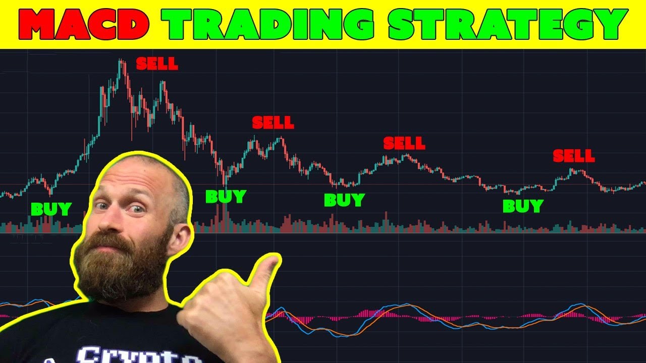 rsi strategija gekko pasiūlos paklausos prekybos sistema