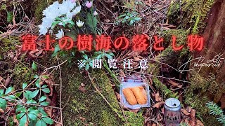 ⚠閲覧注意⚠！！富士の樹海の落とし物