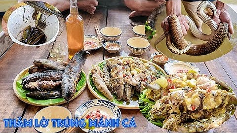 Cuộc sống săn bắt mùa nước nổi 2024 - Tập 21 | Gấc Quê
