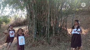 The sky is falling ! | MY ENGLISH BOOK FOUR | Unit Three | Page no.35 to 37