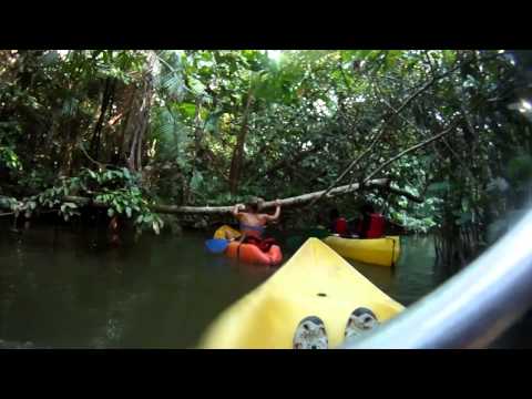 Sortie Canoe crique pierre guyane