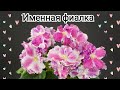 Именная фиалка #фиалки #фиалкацветёт #фиалка #цветы #violet #violetgarden #sentpolia #flowers