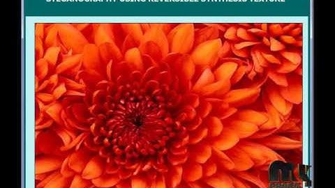 Steganography Using Reversible Texture Synthesis | Final Year Projects 2016