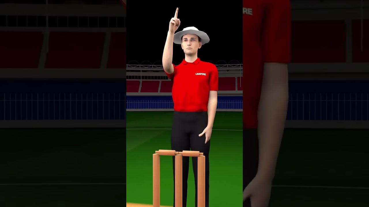 HOW TO DRS IN WORK??.  