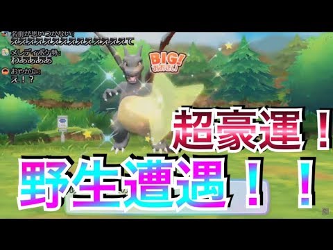 超神回 野生で色違いのリザードンに遭遇して発狂する男 ポケモンピカブイ Youtube