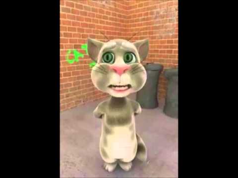 Talking tom cat Guyana Love story