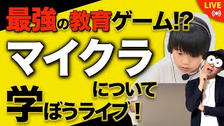 【子育て中の方必見！】子どもが学べる最強ゲーム！マインクラフトとは