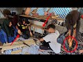 Triumph After Tragedy: Nomadic Family's Journey