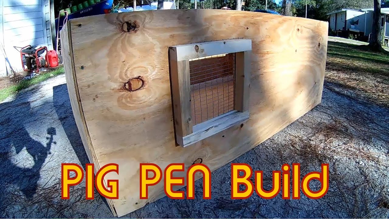 Building a pig pen for mini pig YouTube