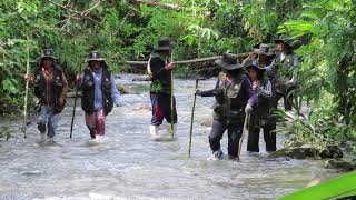 Caminata por el río  para registro de huellas