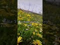 اعملو لأخرتكم صدقة جارية ما تيسر من القرآن راحة نفسية ورود رائعة رمضان كريم صدقة جارية اعملو لأخرتكم صدقة جارية ما تيسر من القرآن راحة نفسية ورود رائعة رمضان كريم صدقة جارية