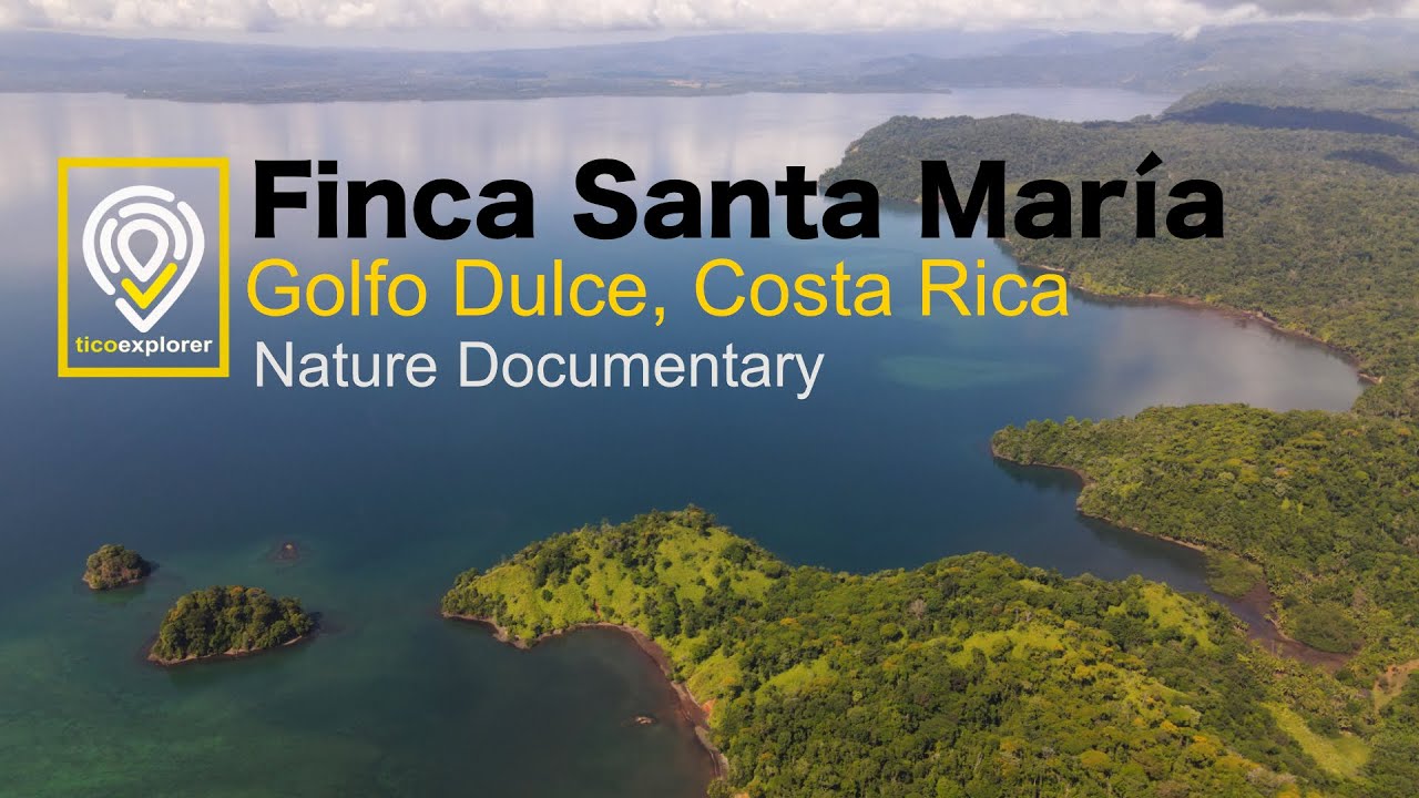 Costa Rica Nature Documentary - Finca Santa María, Osa Peninsula and Golfo Dulce.  2021