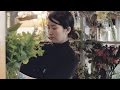 UNITED ARROWS 情熱接客 壱岐ゆかりさん「雨の日のフラワーショップで。」篇