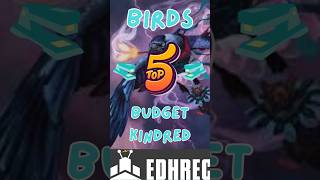 EDHrec's Budget Bird Kindred Staples