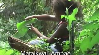 Vanuatu Interlude – Ambae