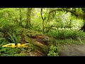 Hoh Rain Forest 4K 🇺🇸 Walk Tour !