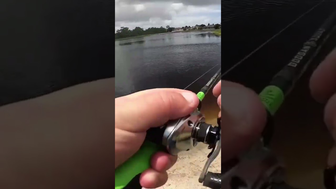 Will this crazy lure catch a fish? #Shorts 