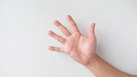 Video Penjelasan Aplikasi Data Mahasiswa Berbasis Web