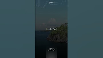 مقتطف من سورة فصلت ( 30 - 31 ) | ناصر القطامي