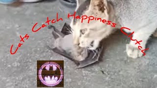 Cats-Batman Parody #cat #cats #parody #funny #funnyvideo #fun