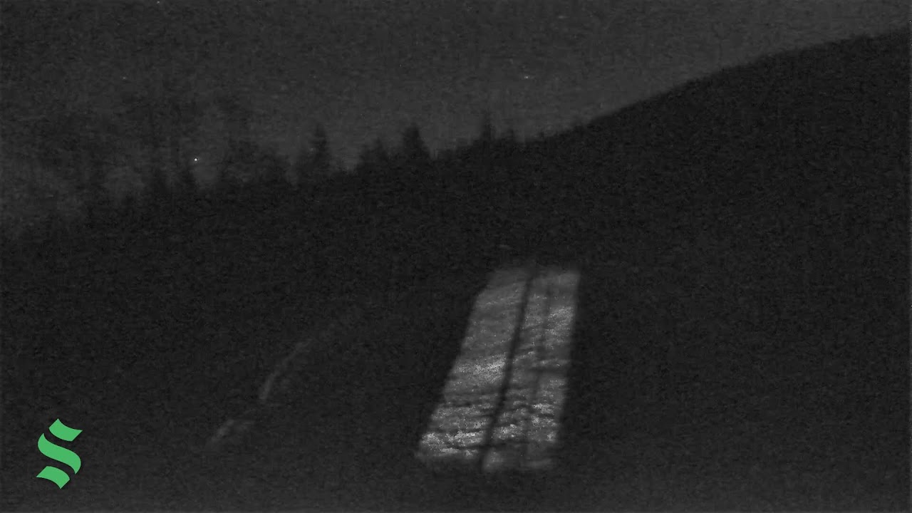 Schweitzer Webcam: Outback