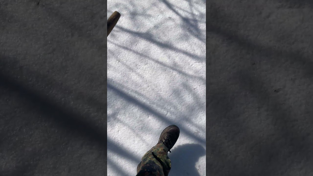 A little “patrol” through the frozen lands of Tennessee 