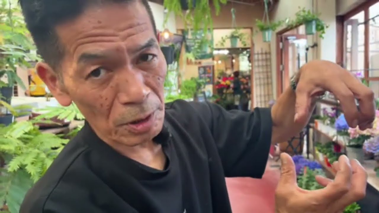 A Tour of the Plants at Kaikaen Main Store - YouTube
