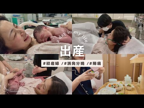 \出産レポ/予定日超過👶🏻陣痛誘発⚡️からの立ち会い出産👶🏻里帰り出産🌳
