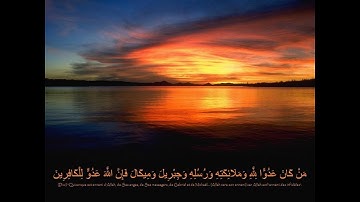 تلاوة خاشعة بصوت الشيخ أبوبكر مومني صلاة الشفع 19 رمضان 1438 هـ