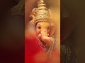 jay shree ganesh #shree ganesh #trending #shorts