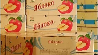 Из-за забастовки дальнобойщиков начались перебои с продуктами на рынках