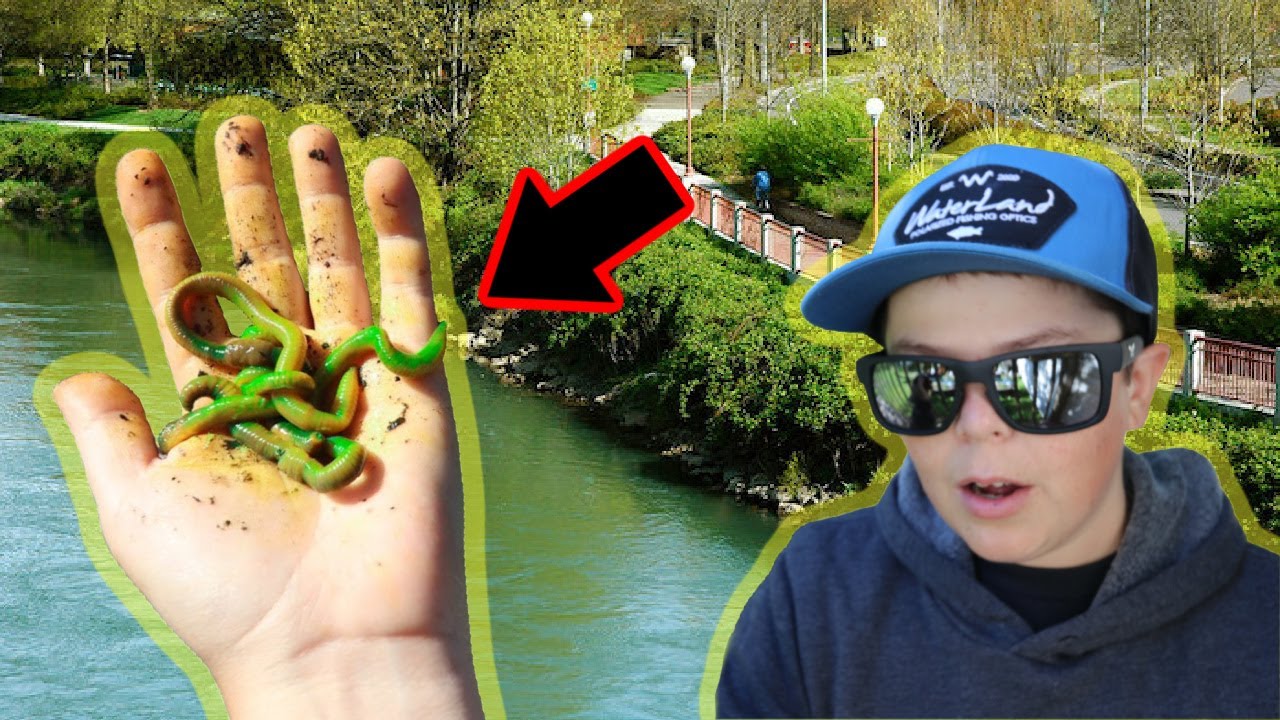 Using Weird Worms To Catch Panfish Bluegills Crappies YouTube