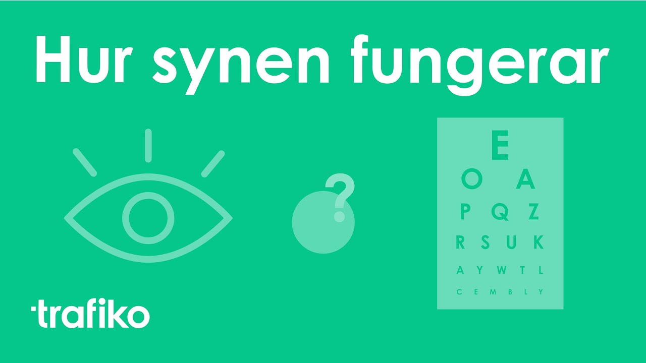 Paypoqda oyoq fetshi porno video