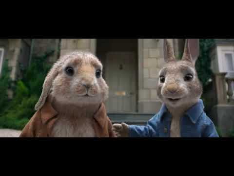 little-bunnies-sleeping-song-nursery-rhymes/-funny-animals-movie