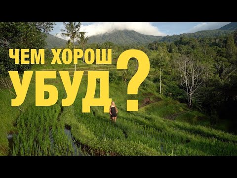 Видео: 6 причин, почему лучше путешествовать с детьми