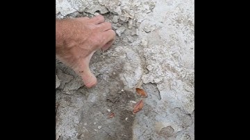 Excavating ammonites with hammer and chisel